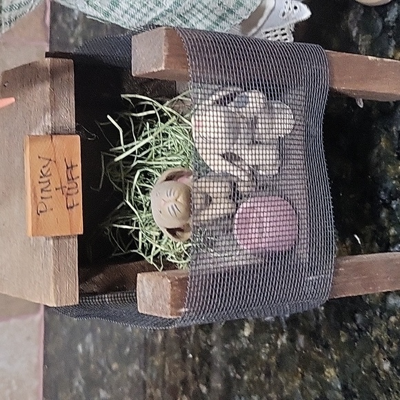 Lizzie High's 1992 "Annie Bowman With Rabbit Cage and Tag - Picture 4 of 11